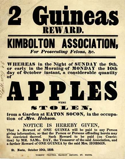 Reward for stolen apples 1859